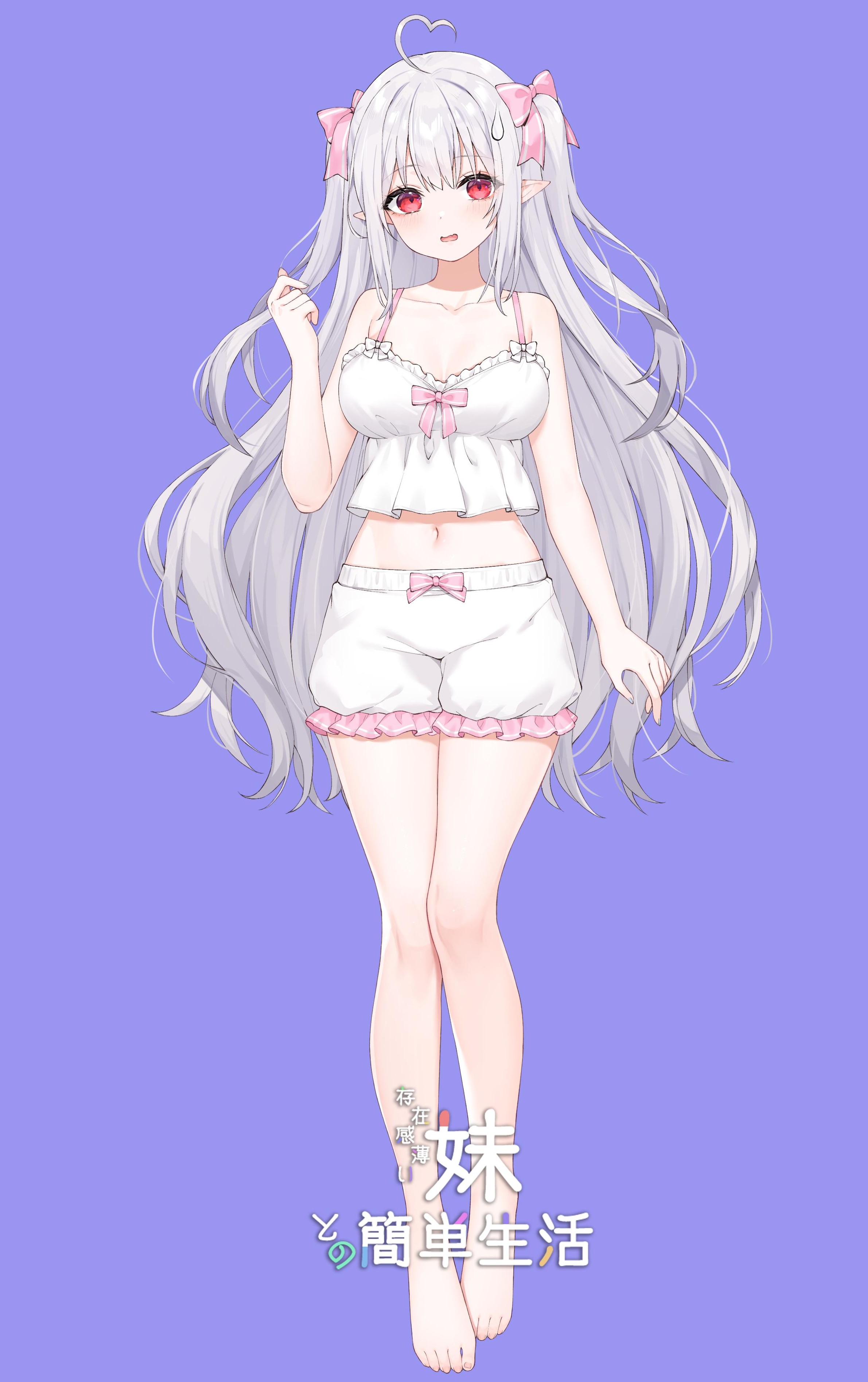 和存在感薄弱妹妹一起的简单生活~v1.05官方中文游戏封面